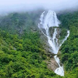 Dudhsagar Waterfall Trip