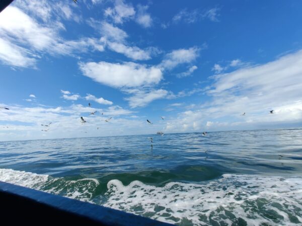 Watersports with Open Sea Boat Party in Goa