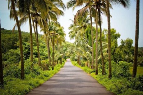 Goa Tour