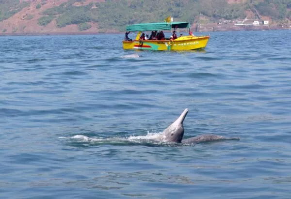 Watersports with Open Sea Boat Party in Goa