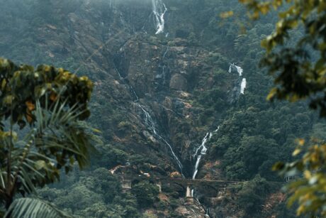a waterfall in a forest