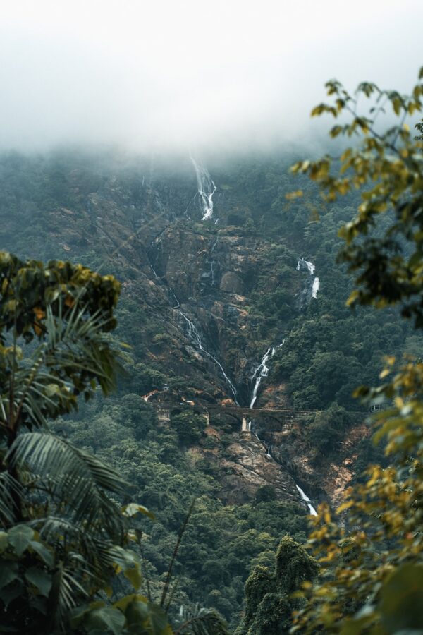 a waterfall in a forest