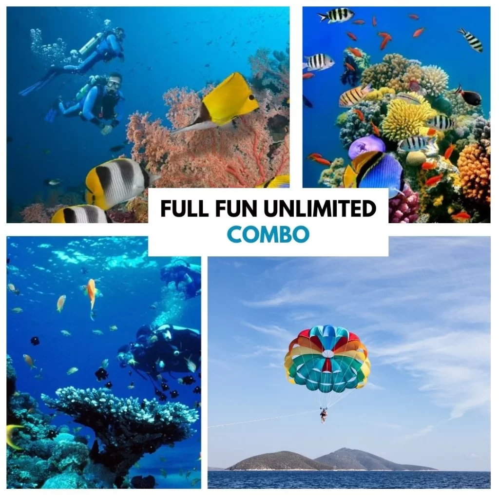 Scuba Diving in Goa
