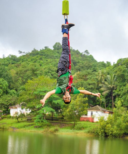 bungy