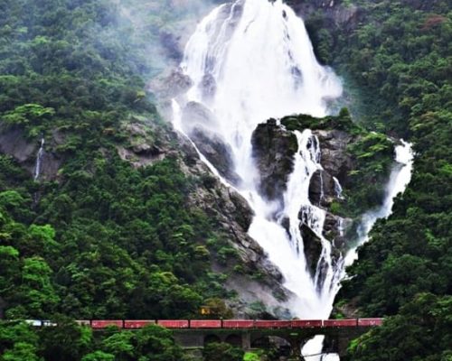 Dudhsagar Waterfall Trip 2 dudhsagar falls trip goa