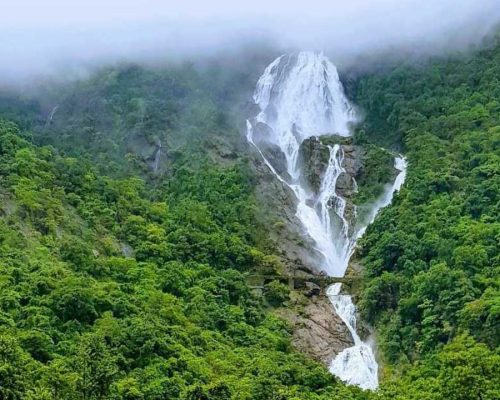 Dudhsagar Waterfall Trip 5 dudhsagar trip