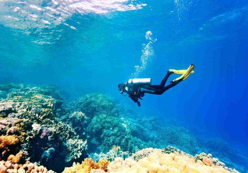 Scuba diving in Goa